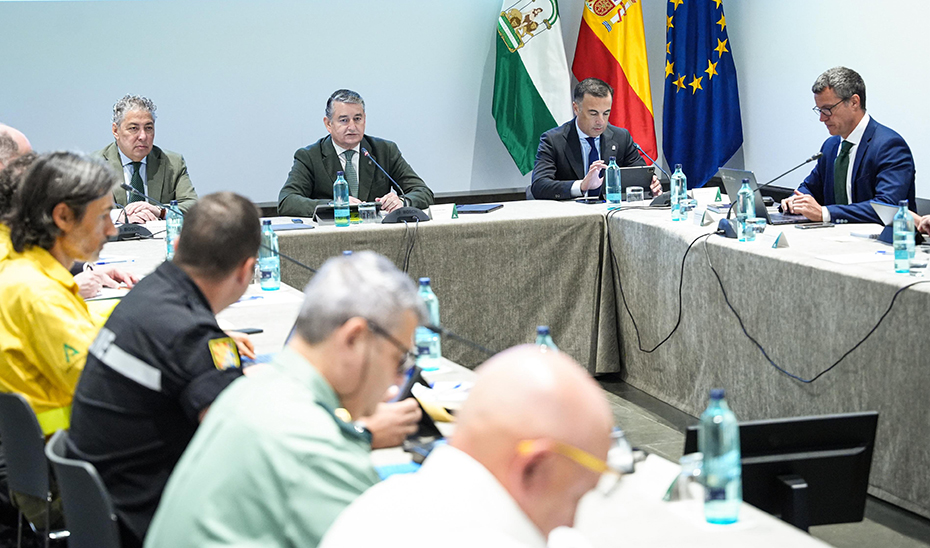 El consejero de la Presidencia, Antonio Sanz, durante la reunión del Comité Asesor Regional del Plan Infoca.